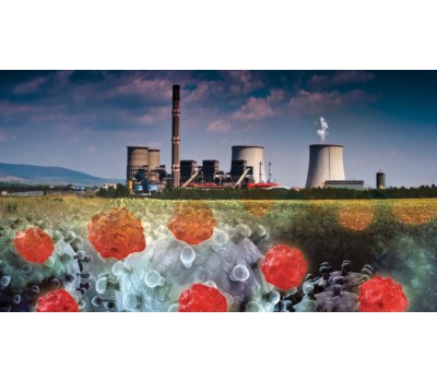 Environmental Toxins and Cancer Risk